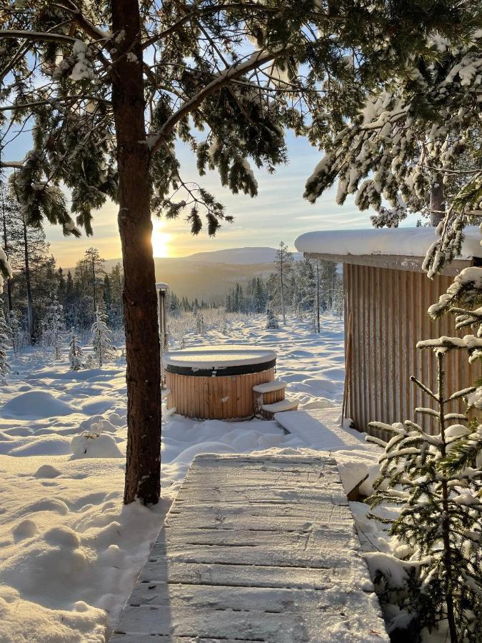 Mountain Cabin Lofsdalen Bagian luar foto
