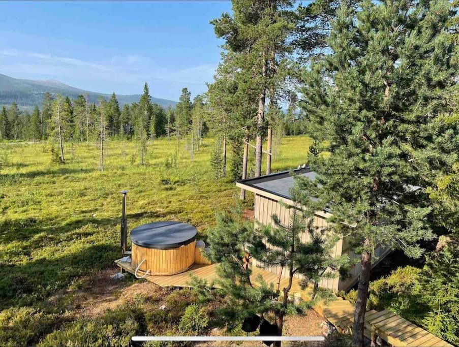 Mountain Cabin Lofsdalen Bagian luar foto