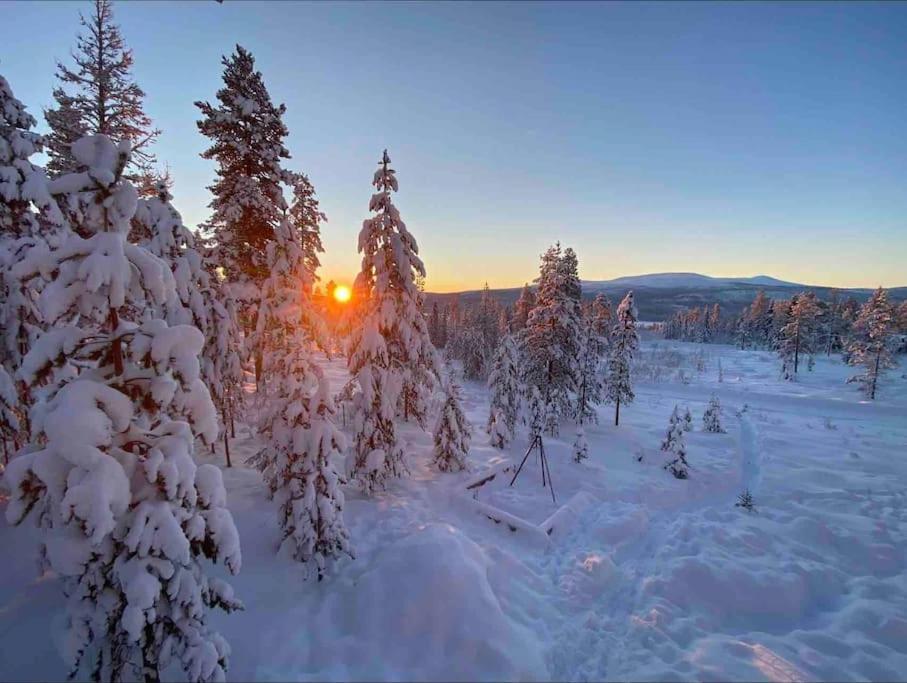 Mountain Cabin Lofsdalen Bagian luar foto