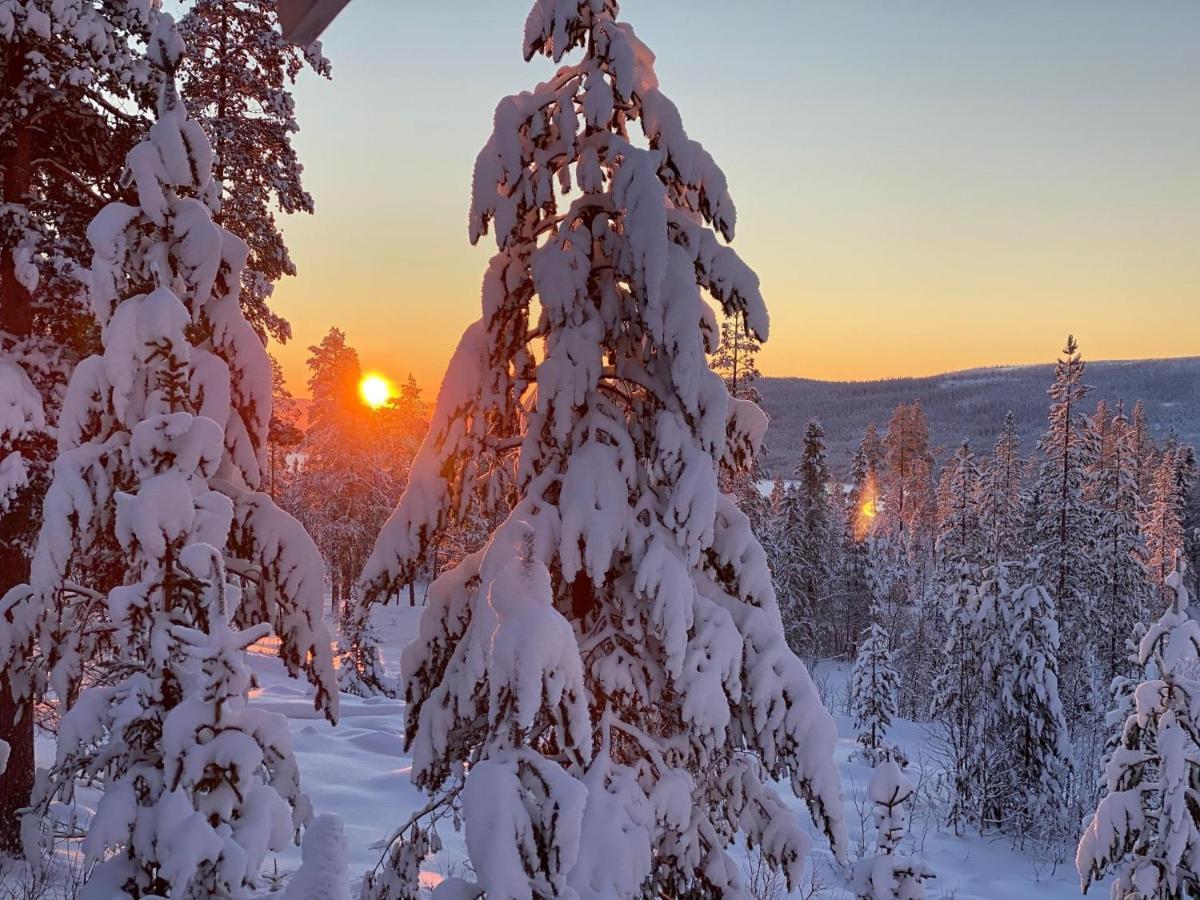 Mountain Cabin Lofsdalen Bagian luar foto