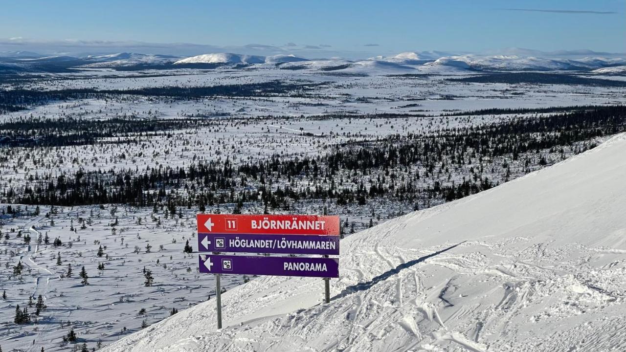 Mountain Cabin Lofsdalen Bagian luar foto