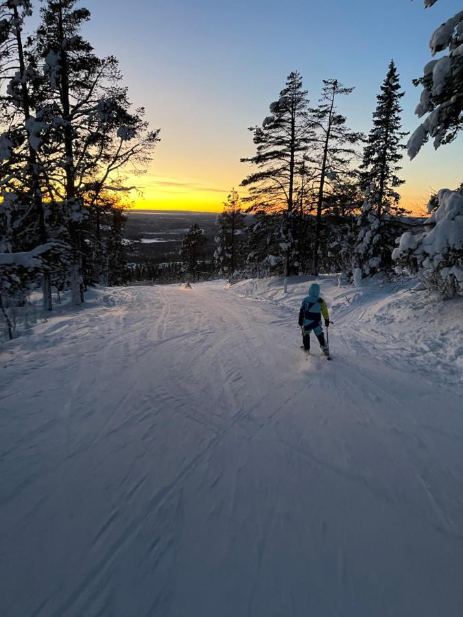 Mountain Cabin Lofsdalen Bagian luar foto