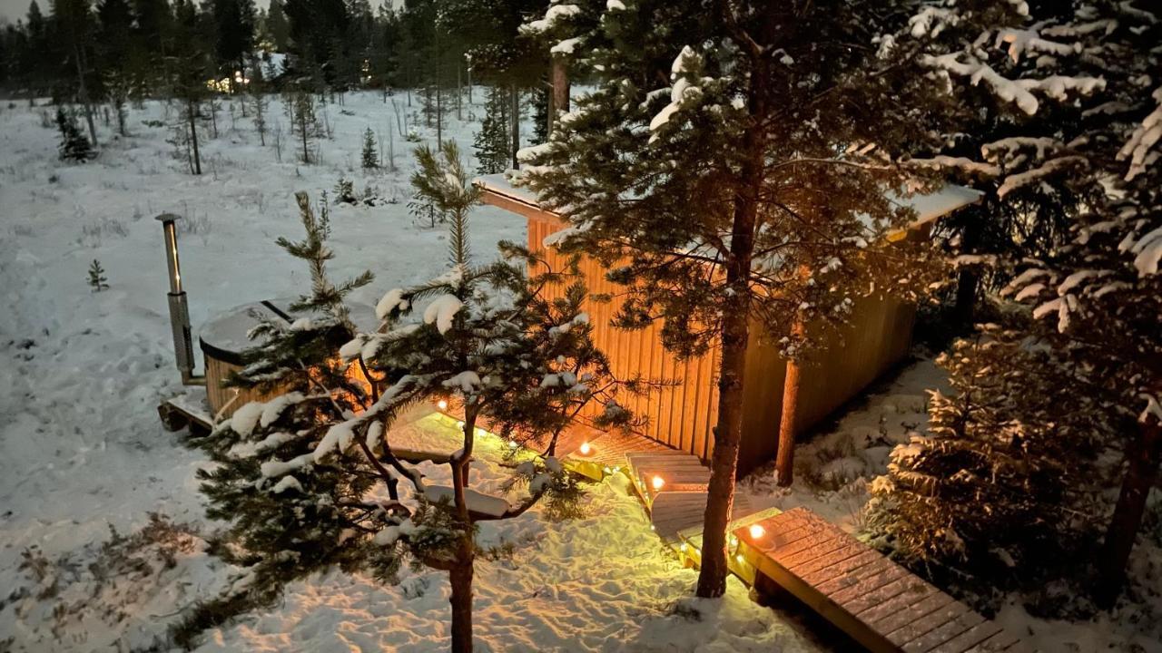 Mountain Cabin Lofsdalen Bagian luar foto